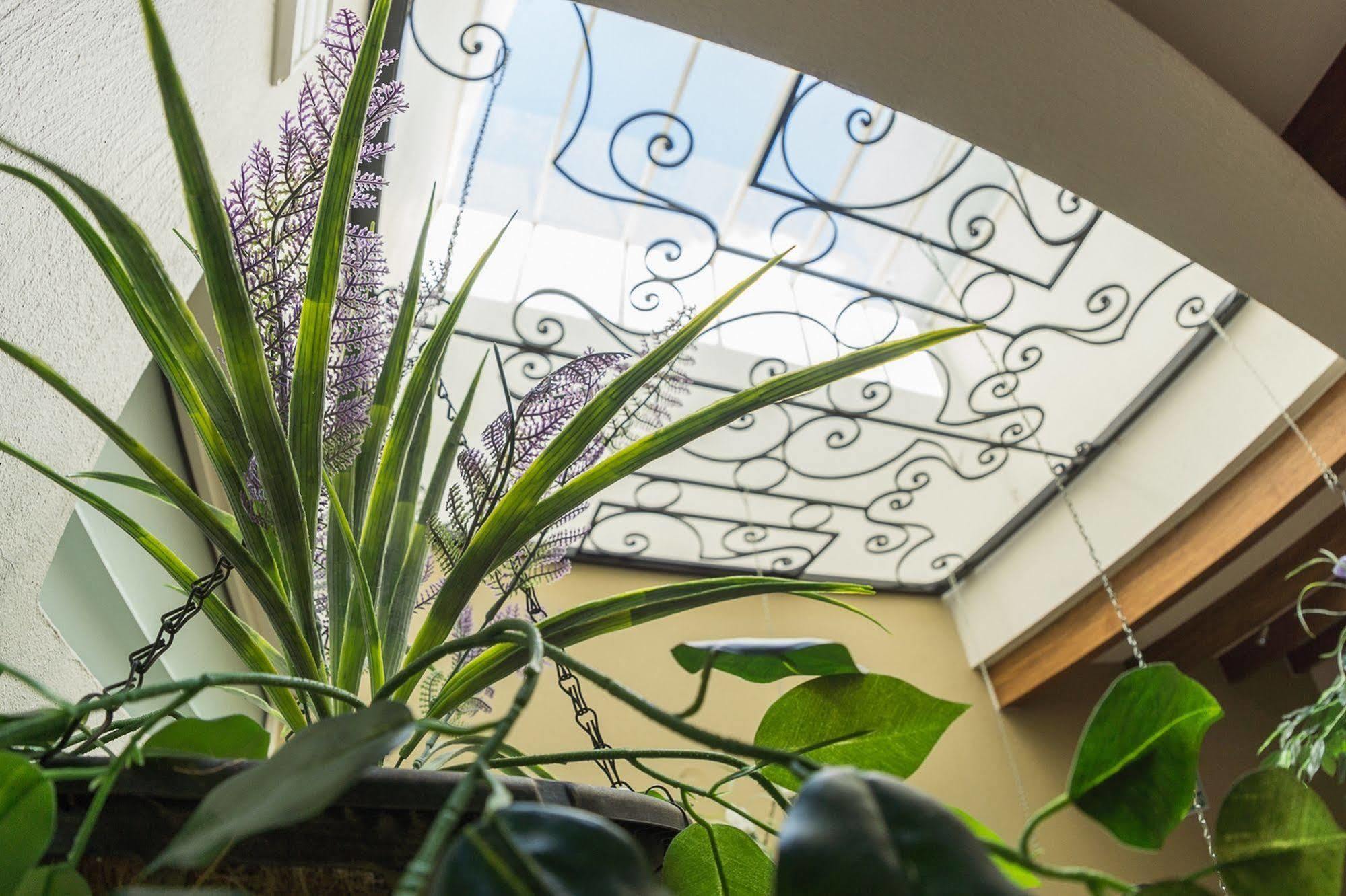 Tlaquepaque San Pietro Boutique Hotel מראה חיצוני תמונה